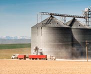 Agence web spécialisée dans votre domaine ferme
